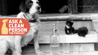 Don't Let Cat Puke And Dog Piss Ruin Your Life